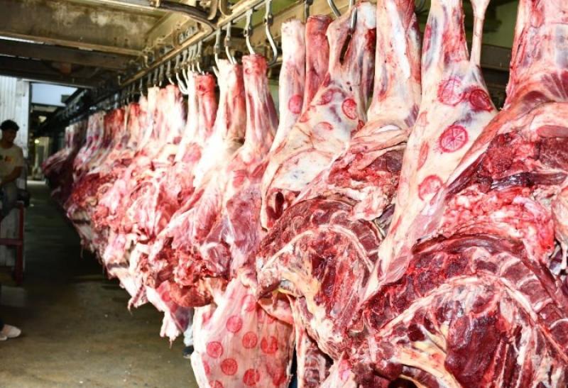 أسعار اللحوم بالأسواق اليوم السبت