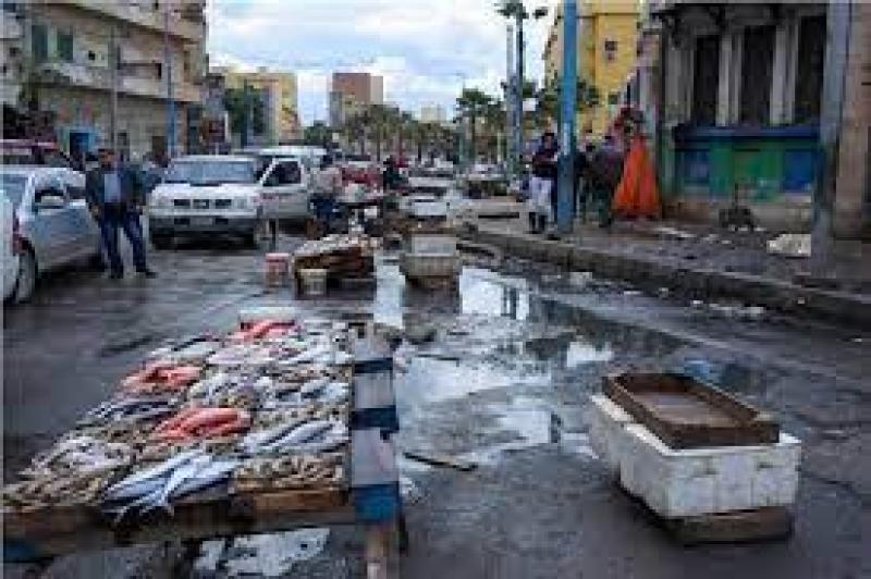 «المقاطعة» كلمة السر.. المصريون يوجهون ضربة قوية لتجار الأسماك بدعم من الحكومة