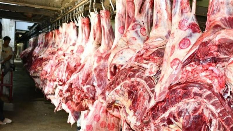 التموين تطرح 40 طن من اللحوم الطازجة بمنافذ المجمعات الاستهلاكية يوميًا