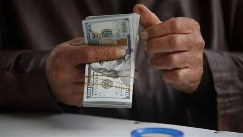البنوك المصرية ترفع عائد حسابات التوفير الدولارية إلى 5% سنوياً