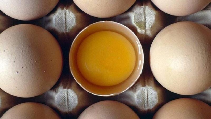 كم بيضة مسموح بتناولها في اليوم؟
