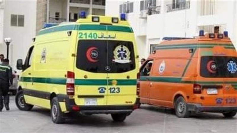 إصابة 5 أشخاص بتسمم غذائي لتناولهم «وجبة حواوشي» بالمحلة