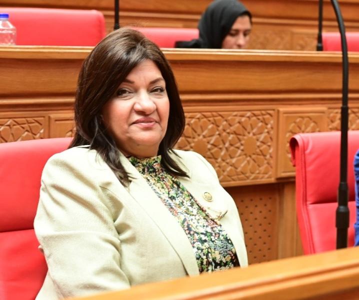 نائبة تطالب بدمج عدد من الوزارات في الحكومة الجديدة