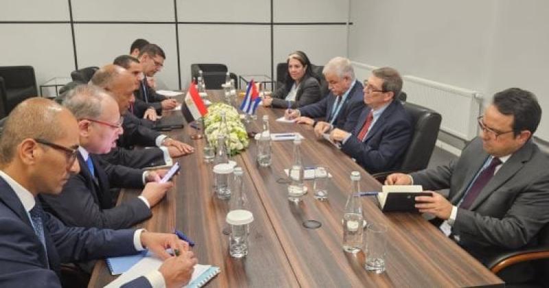 وزير الخارجية يبحث مع نظيره الكوبي تبادل الرؤى بشأن الحرب على غزة