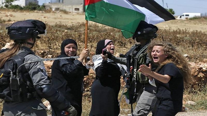 جرائم صهيونية جديدة في حق الفلسطينيات بشمال غزة.. فيديو