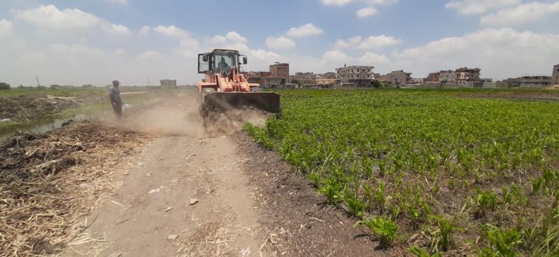إزالة 5 حالات تعدي على الاراضي الزراعية وأملاك الدولة بمركز دمنهور