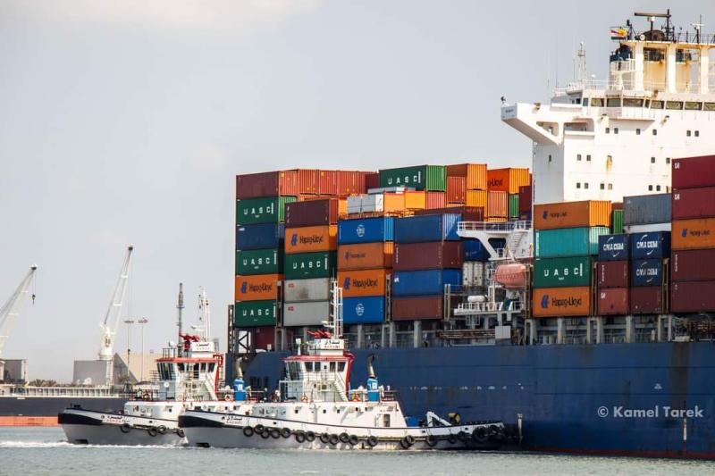 ميناء دمياط يستقبل 65 سفينة ببضائع متنوعة خلال يوم
