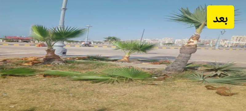محافظ الإسكندرية يوجه بالبدء في رفع كفاءة الحدائق ومراجعة كافة أعمدة الإنارة ورفع مستوى النظافة بنطاق حي وسط