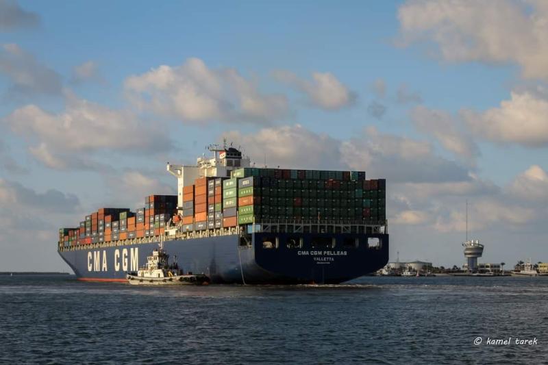 ميناء دمياط يستقبل 51 سفينة ببضائع متنوعة خلال الـ24 ساعة الماضية