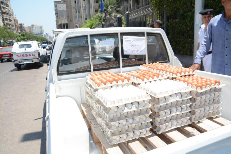 إطلاق 10 سيارات لطرح بيض المائدة للمواطنين بنطاق 8 مراكز بالبحيرة