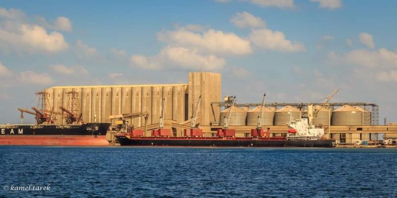 ميناء دمياط يستقبل 52 سفينة ببضائع متنوعة خلال يوم