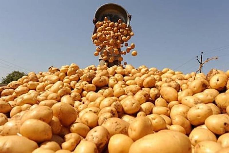 وزير الزراعة يشدد على حصر الثلاجات وأماكن تخزين البطاطس لعدم تكرار أزمة البصل