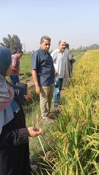 وكيل زراعة الغربية يشدد على منع حرق المخلفات الزراعية