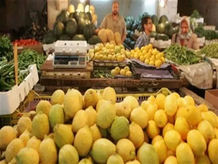أرشيفية