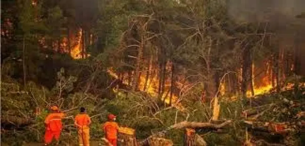 اليابان: السيطرة على حرائق الغابات المستعرة في ”أوفوناتو” منذ 11 يوما