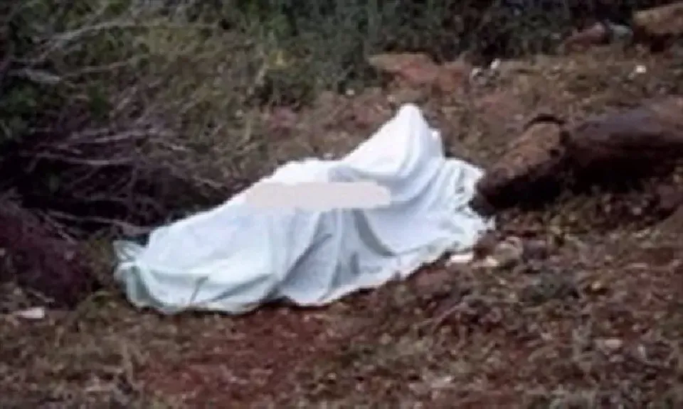 ارشيفية