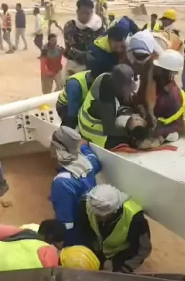 جانب من الصور 