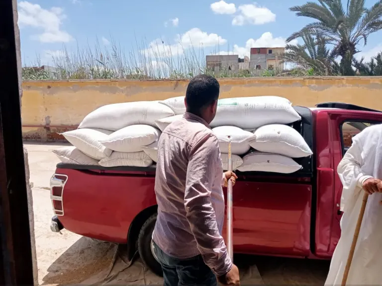 توريد 26220 طن قمح لشون وصوامع البحيرة