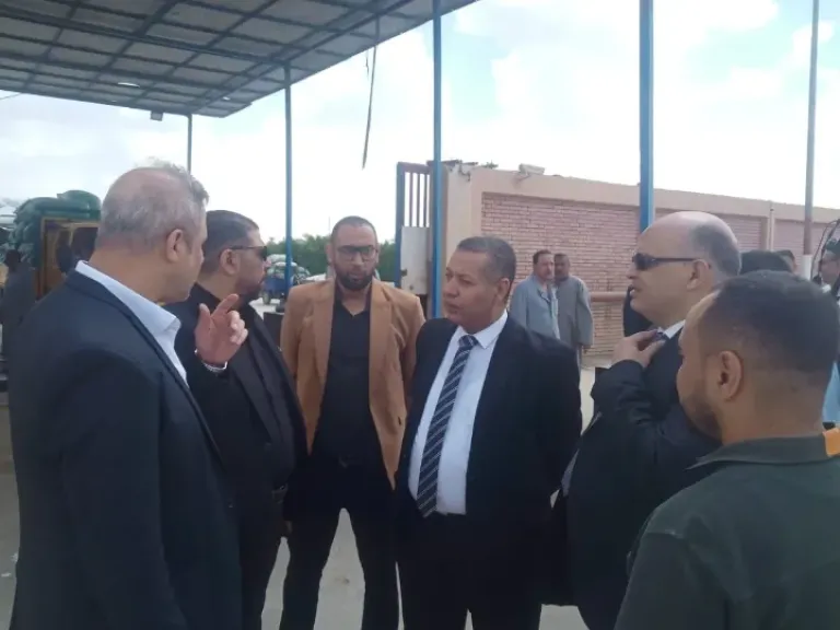 توريد 47 الف طن قمح محلى فى بنى سويف.. تفاصيل