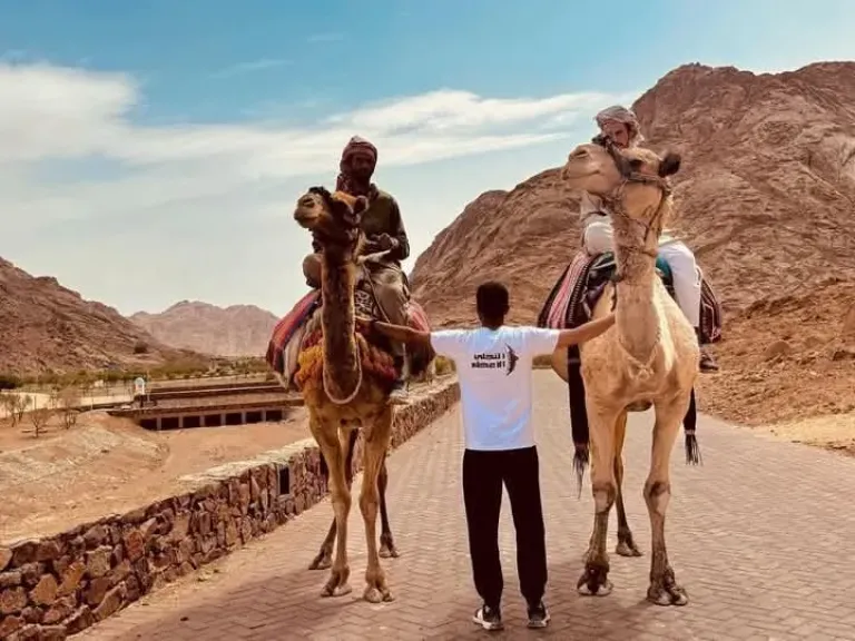 «التجلي الأعظم».. مشروع تخرج بإعلام الأزهر يلقي الضوء على المعالم السياحية في مدينة سانت كاترين