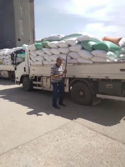 توريد 54169 طن قمح  لشون وصوامع البحيرة
