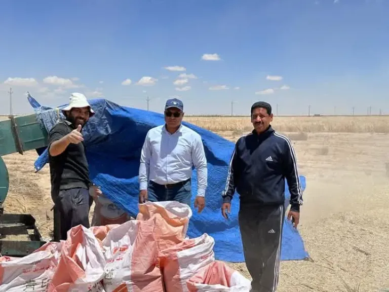 وزير الزراعة يتابع جهود ”بحوث الصحراء” و ”الزراعة الآلية” لحصاد القمح والشعير في شمال وجنوب سيناء