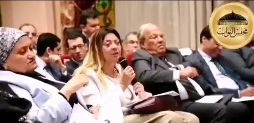 المشرف على ”القومي للأشخاص ذوي الإعاقة” تُشارك في مناقشة مشروع قانون الإيجار القديم بمجلس النواب