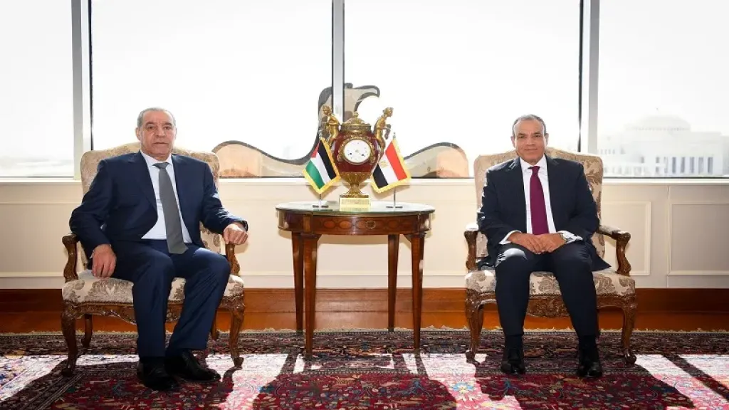 «مصر» تؤكد تواصل جهودها لوقف إطلاق النار في غزة