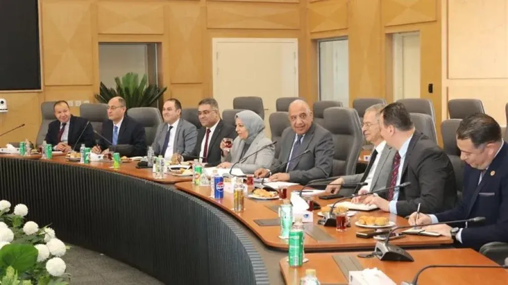 ”الكهرباء” و”روسآتوم” تستعرضان تقدم الأعمال في مشروع الضبعة النووي