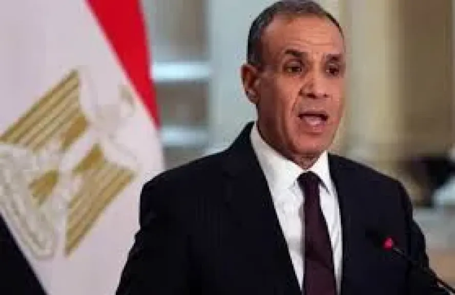 وزير الخارجية المصري: وقف إطلاق النار في غزة أولوية والقاهرة تبذل جهودًا حثيثة