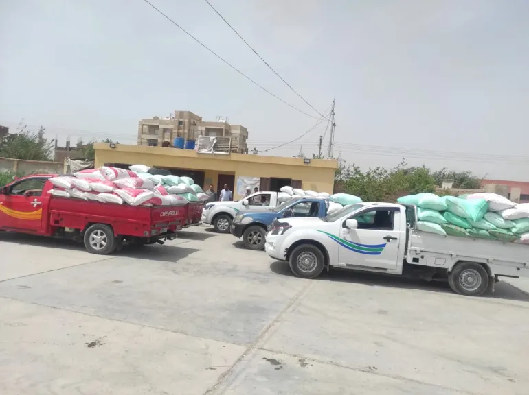 توريد 175765 طن قمح لشون وصوامع البحيرة