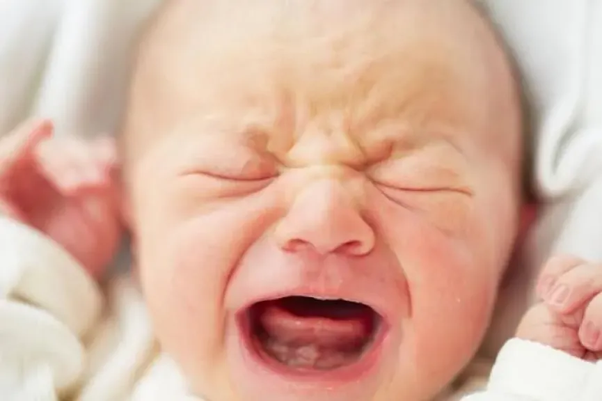 ”11 دقيقة من الزمن”.. كشفت سيدة لا تستحق لقب أم استبدلت قلبها حجراً بالغربية