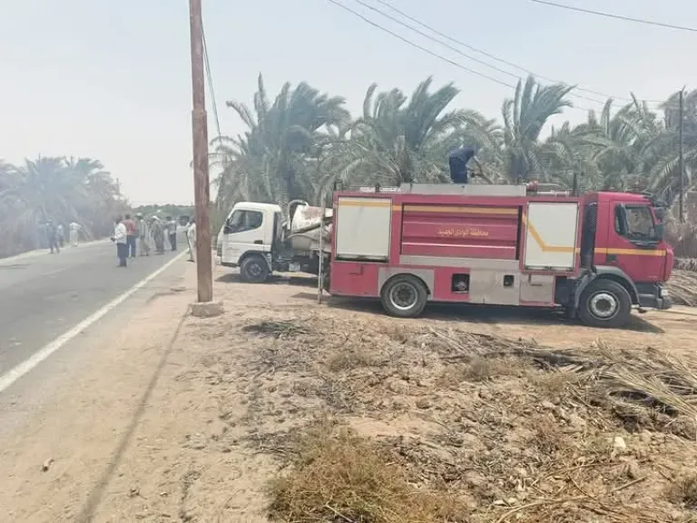 محافظ الوادي الجديد: السيطرة على حريق زراعات نخيل على مساحة فدانين  بمركز الداخلة