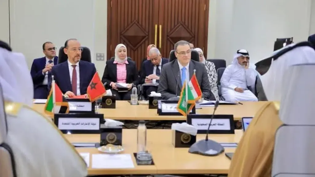 الجهاز المركزي لللتنظيم والإدارة يُشارك في الدورة 119 لاجتماعات المجلس التنفيذي للمنظمة العربية للتنمية الإدارية