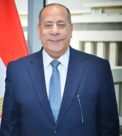 ”القابضة للصناعات الغذائية”: بدء افتتاح 21 شادرًا رئيسيًا لبيع الخراف الحية في العديد من المحافظات
