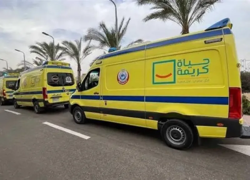 الأبن العاق..  طالب أعدادي يطعن والدته أثناء نومها بالغربية