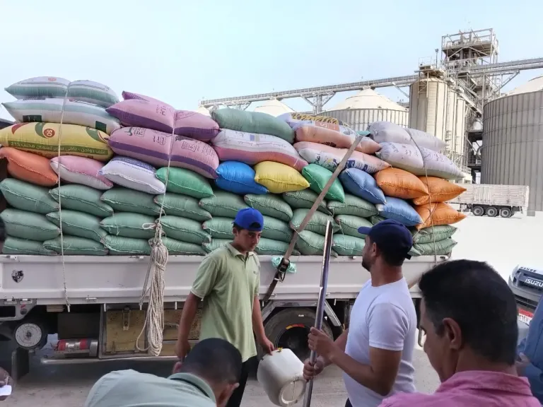 توريد 254 ألف طن قمح لشون وصوامع البحيرة