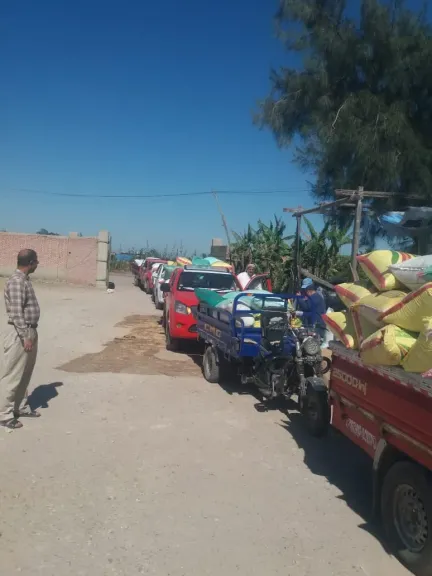 جانب من المتابعة