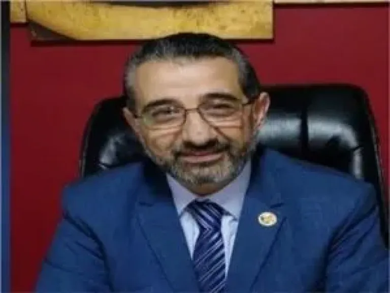 شعبة النقل: المواني المصرية تتحول من عبور إلى إنتاج
