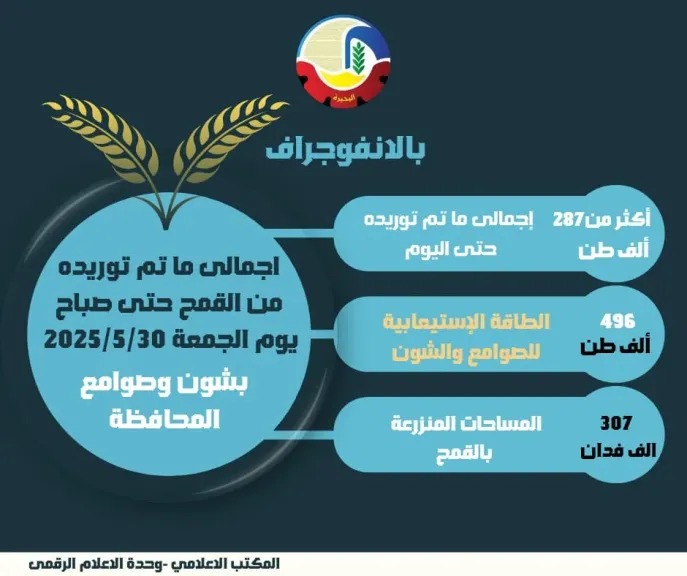 بالإنفوجراف.. توريد أكثر من 287 ألف طن قمح لشون وصوامع البحيرة حتى اليوم