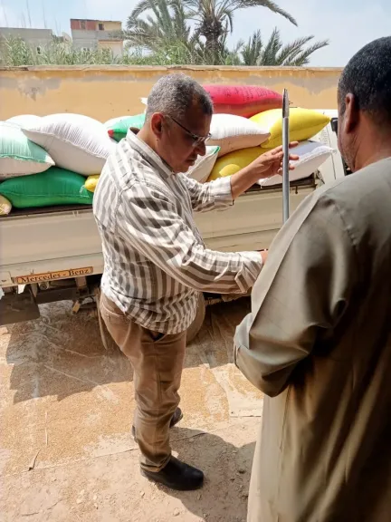 البحيرة تواصل تنفيذ خطة الدولة في توريد القمح المحلي