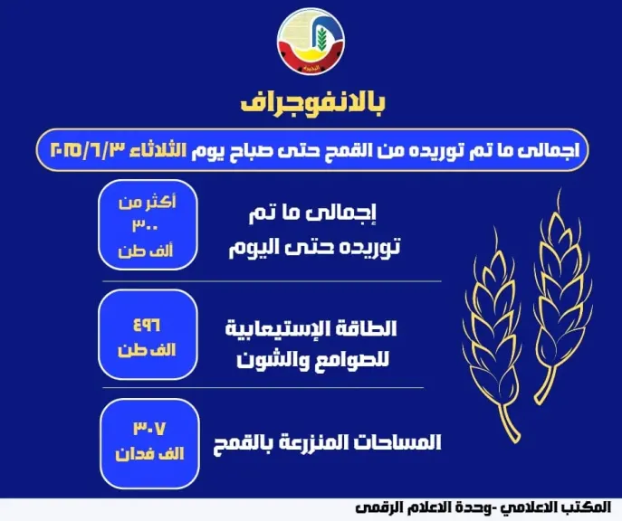 بالإنفوجراف.. توريد أكثر من 300 ألف طن قمح لشون وصوامع البحيرة حتى صباح اليوم
