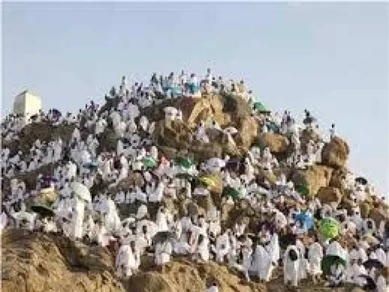 فيديو| «البعثة الطبية للحج»: تنظيم محكم وحملات توعية لـ50 ألف حاج مصري