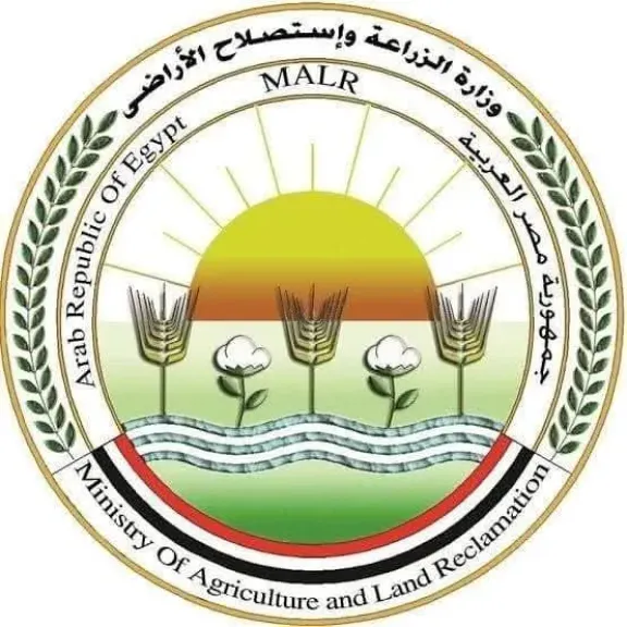 ”الزراعة”: المجازر الحكومية تستقبل أكثر من 9800 أضحية خلال أول أيام العيد
