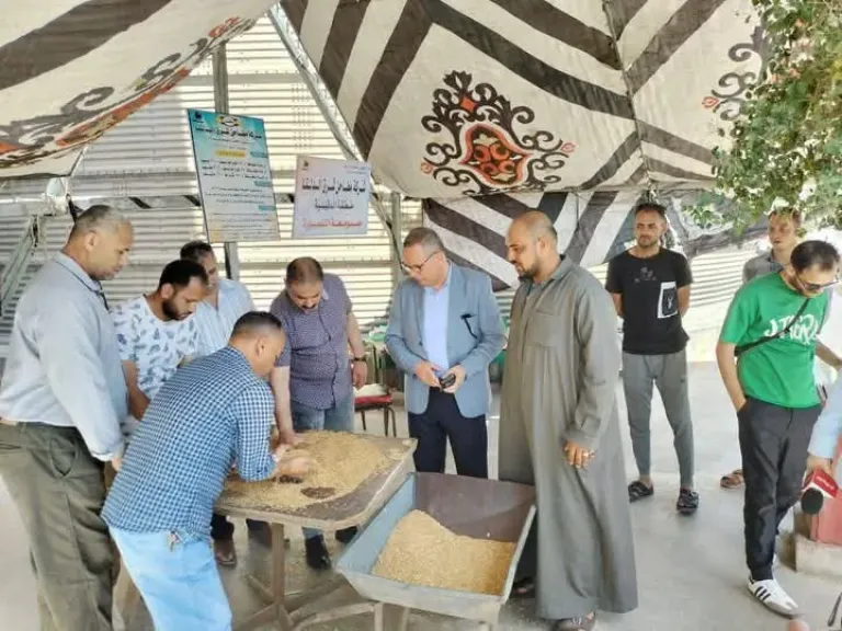 محافظ الدقهلية: استمرار توافد محصول القمح وتوريد 271 ألف طن بمراكز التوريد والتخزين
