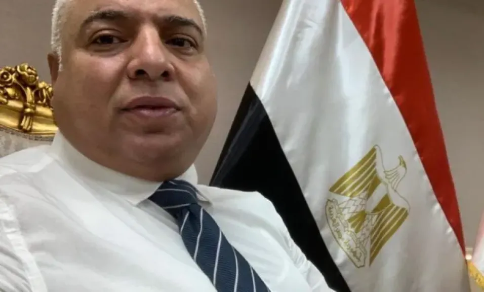 غرفة الأخشاب: تحول جذري في فلسفة التعامل مع المستثمر