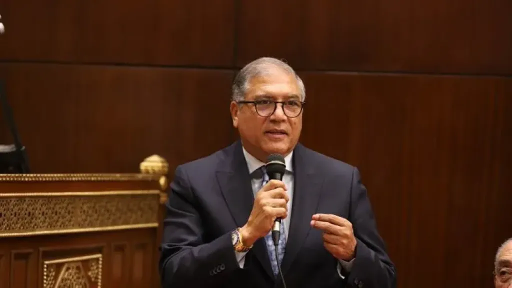عفت السادات رئيسًا للجنة إعداد الخطاب السياسي بتحالف الأحزاب المصرية لانتخابات 2025