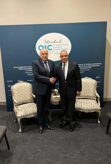 لقاء على هامش اجتماع مجلس وزراء خارجية منظمة التعاون الإسلامي في أسطنبول بين وزير الخارجية والهجرة ونظيره الجزائري