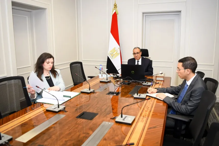 وزير الخارجية والهجرة يشارك في اللقاء الافتراضي مع الجالية المصرية في واشنطن ونيويورك