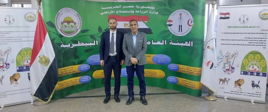 ارشيفية